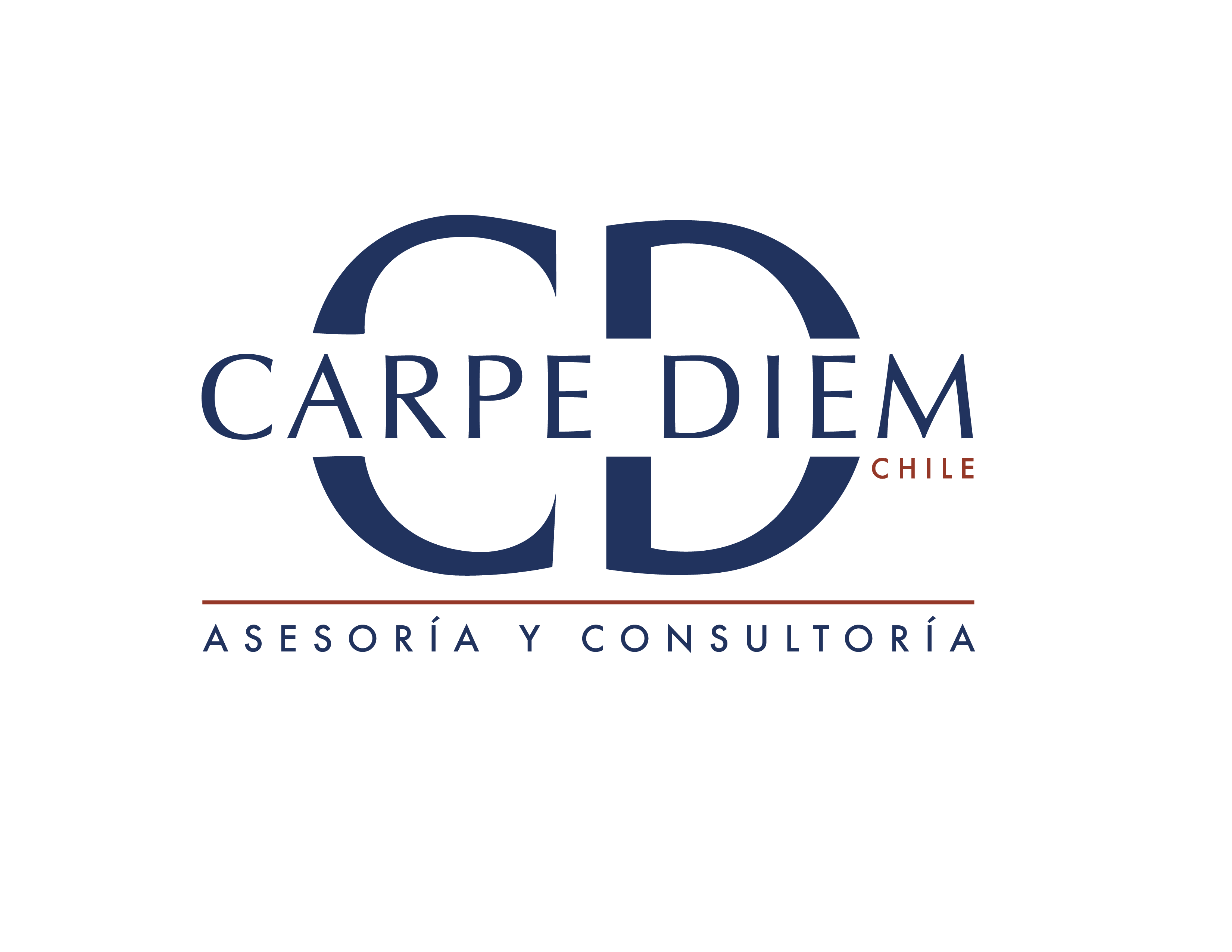 Carpe Diem Chile, Asesoría y Consultoría